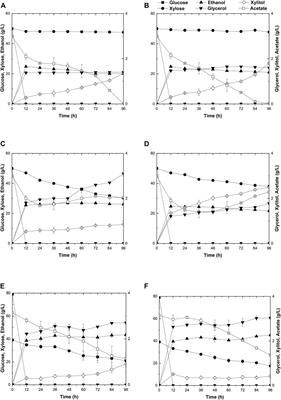 Metabolic and Evolutionary Engineering of Diploid Yeast for the Production of First- and Second-Generation Ethanol